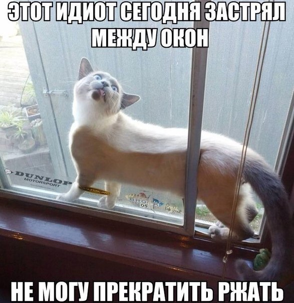 Комментарии из соцсетей