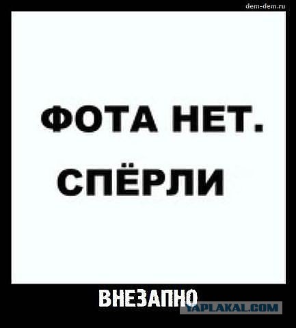 Весёлое из сети
