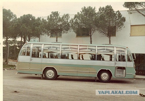 Игра на ЯПе: Угадай АВТО-9