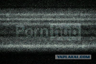 Pornhub пообещал возместить фанату разбитый ноут