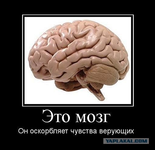 Картинка про мозг. Мозг прикол. Шутки про мозг. Шутки про мозги.