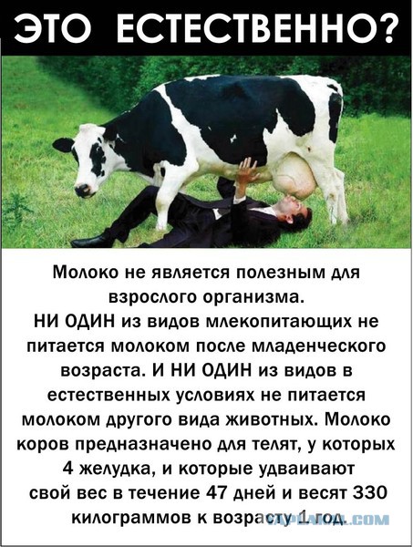 А обязательно всем говорить, что ты веган?