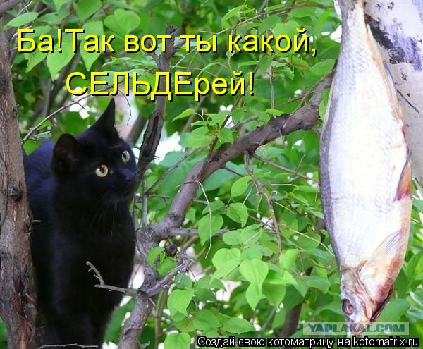 Сходила подруга в магазин