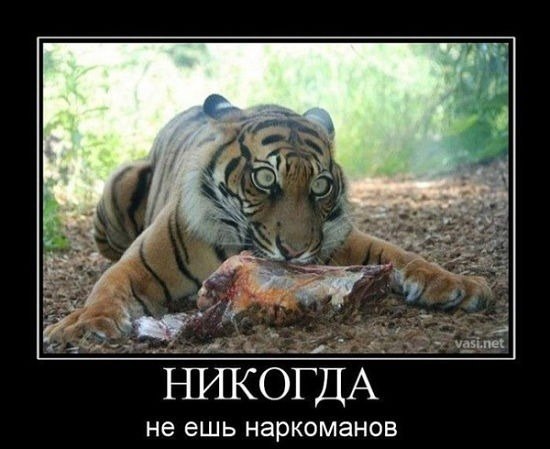 Злые шутки или минутка сарказма на ЯП-е, 16+