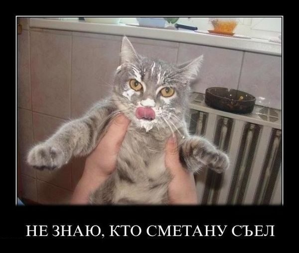 Подборка картинок