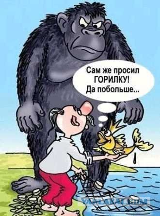 Картинки из ваших этих итернетов...