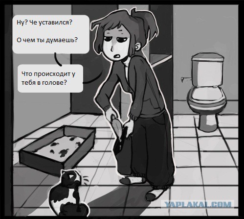 Коты хохотали...