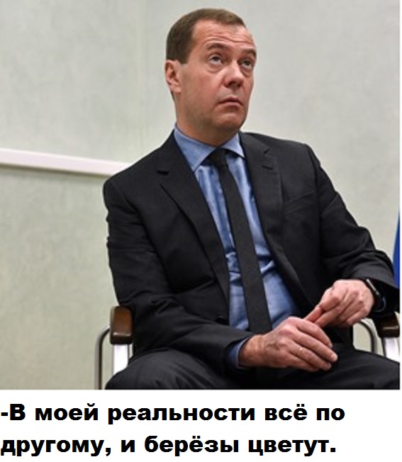 Как Саратов встречал Медведева
