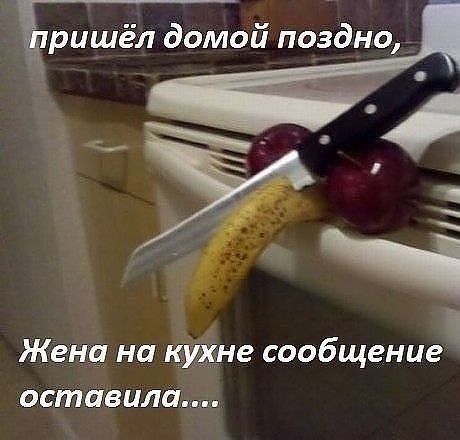 Подборка прикольных и веселых фото