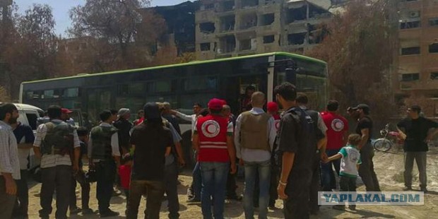 CNN: Россия нанесла первый авиаудар в Сирии