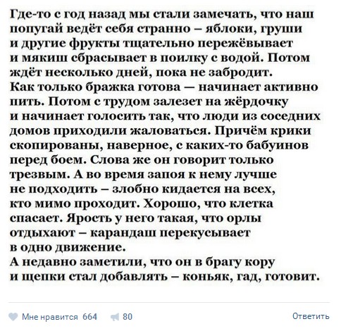 Ужасы и приколы из соцсетей 18+