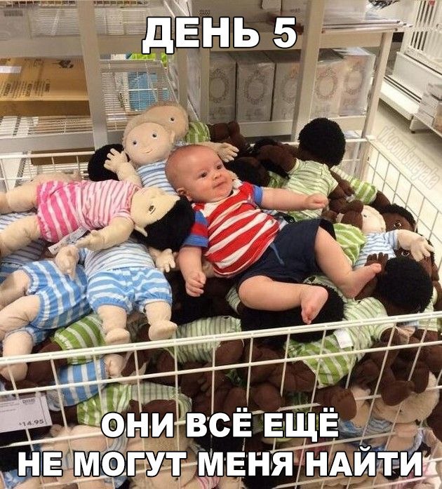 Подборка интересных и веселых фото