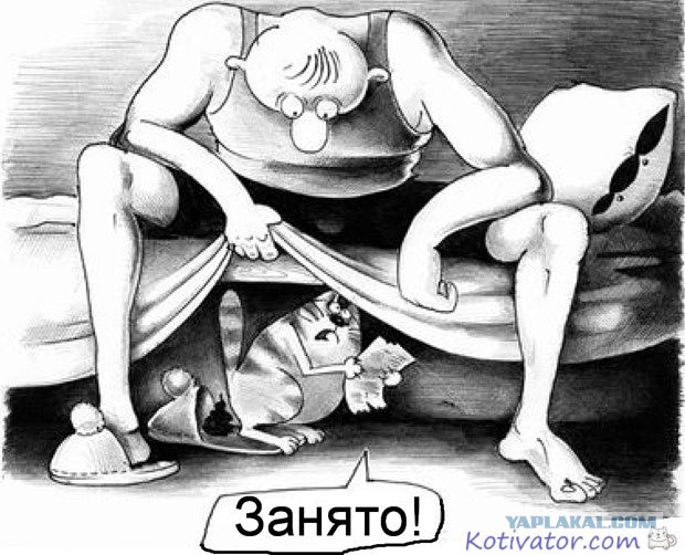Котоловка или как поймать кота