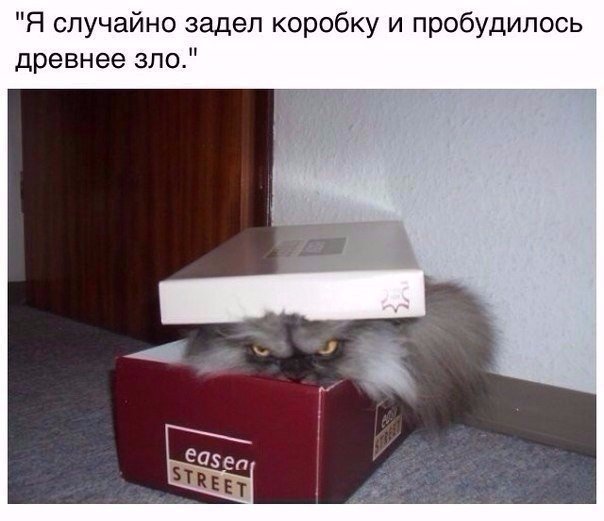 Прикольные картинки