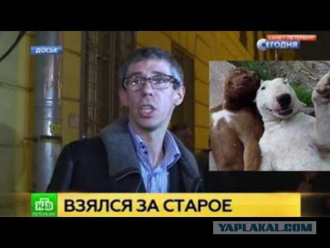 Любительские фото знаменитостей