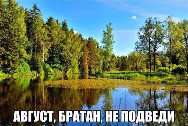 Подборка интересных и веселых картинок