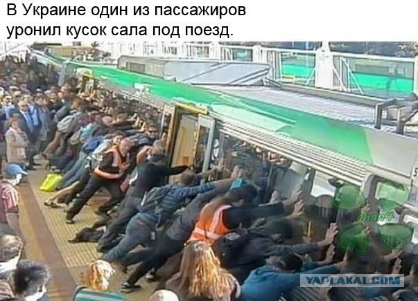 Журнал деградант