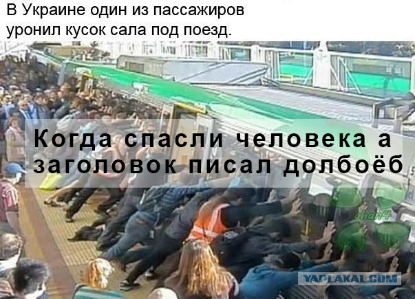 Журнал деградант