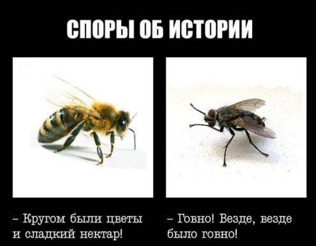 «Левый фронт» выдвинул в президенты директора «Совхоза имени Ленина» Павла Грудинина