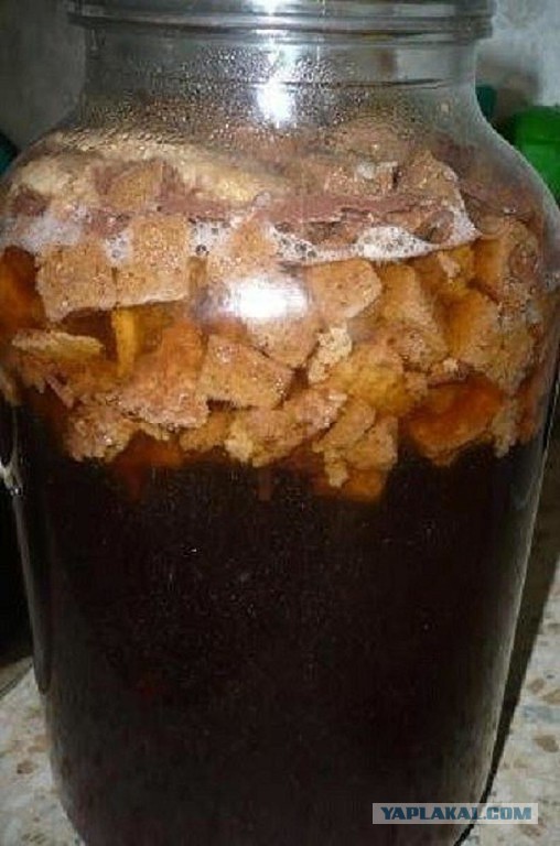 Какие русские блюда не нравятся иностранцам, и какие чужеземные не прижились в России