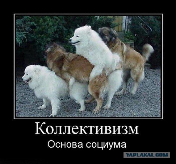 Ищу любовницу