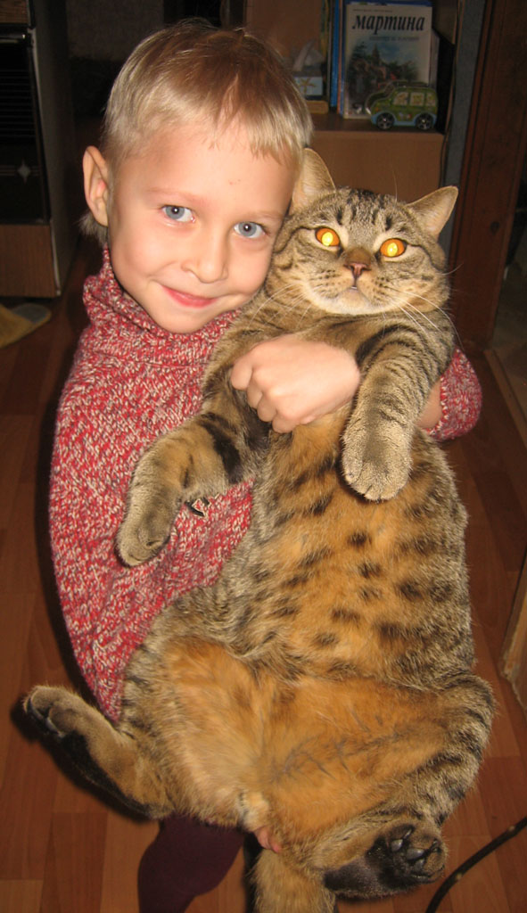 Котомет на вторник (15.04.2008)