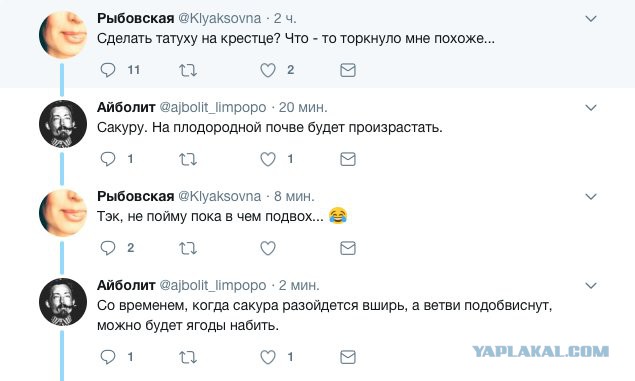 Сборная солянка из смешных картинок на субботу