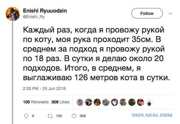 Субботняя вакханалия с большой дозой идиотизма