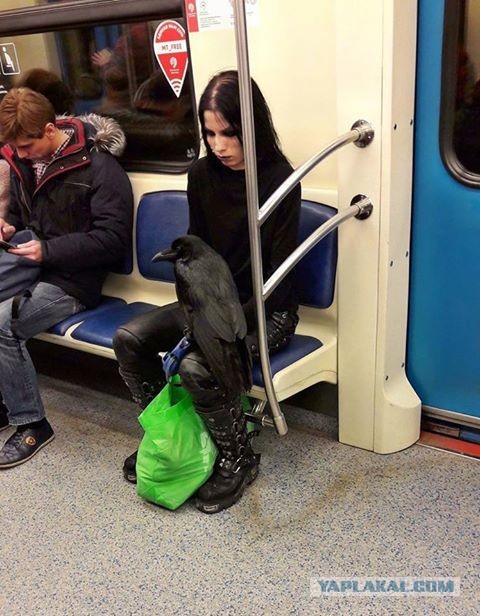 Двойники в метро
