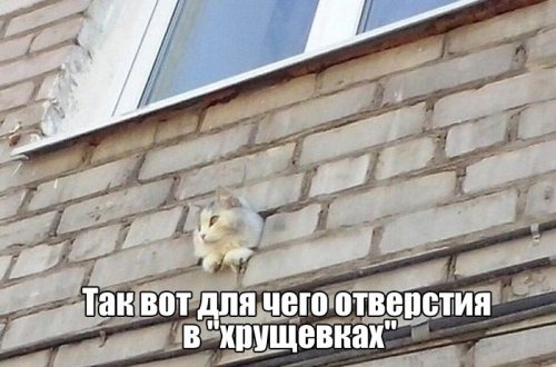 Немного картинок на вечер