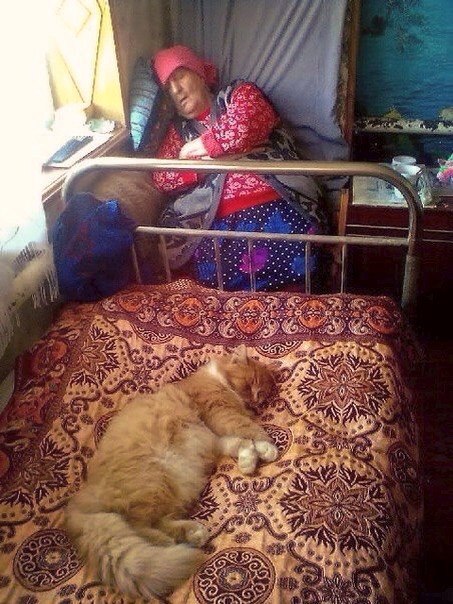 Немного милоты