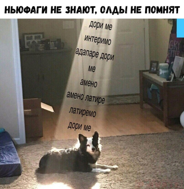 Картинки, юмор