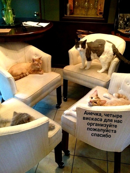 Картинки на воскресный день