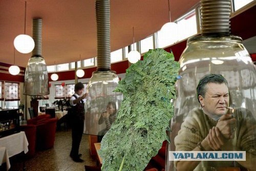 Места для курящих
