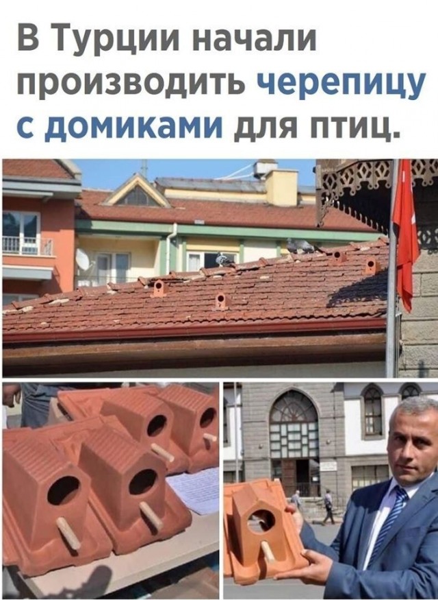 Так себе картинки 30.05.20