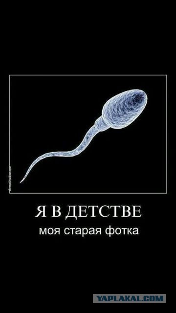 Жизнь