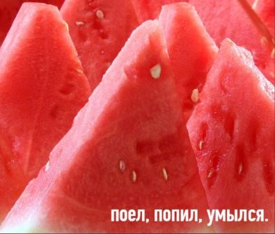Юмор в картинках 21.08.20