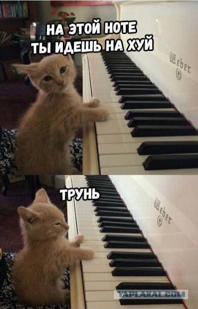 Как правильно удержать любимого мужчину