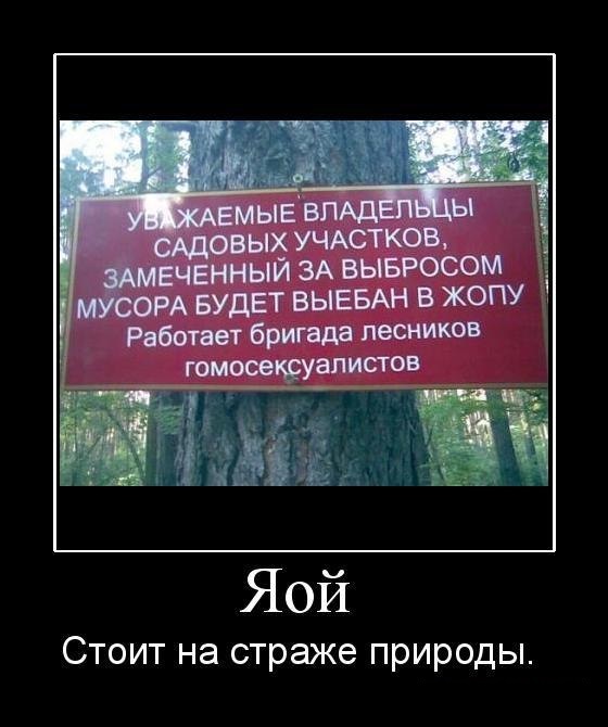 Подборка баянистых картинок