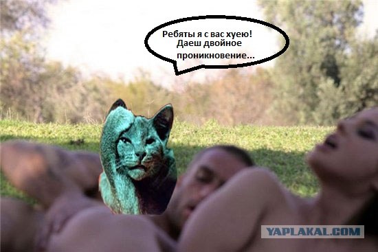 Фотожаба: Тут медвед не проходил?