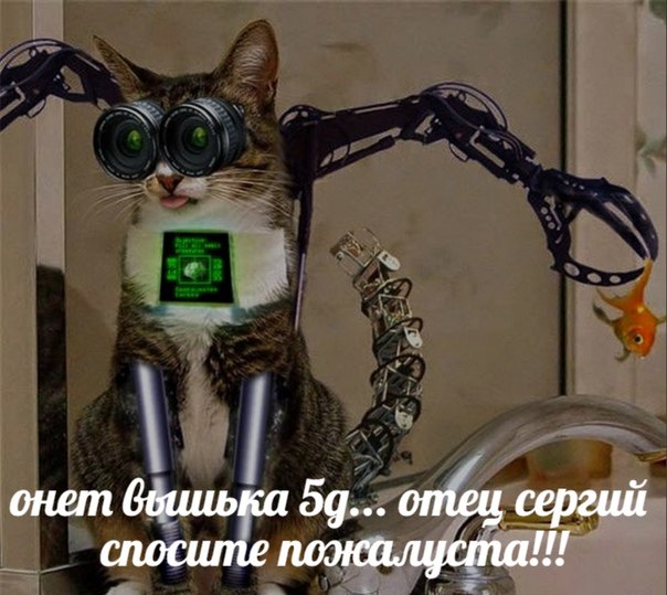 Чепуха на четверг.11-12