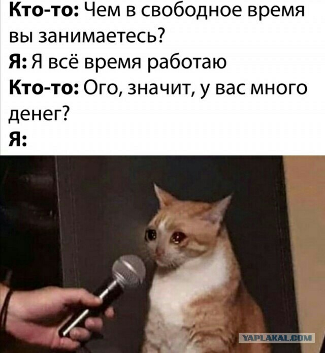 Работать за еду