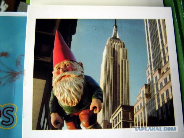 Возвращение лучшего друга.