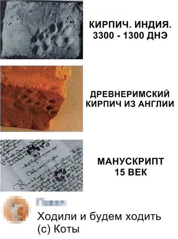 Картинки и мемы для настроения