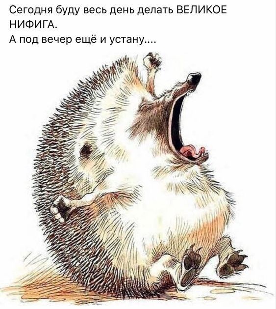 Баянисто-небаянистый юмор 10.09.21