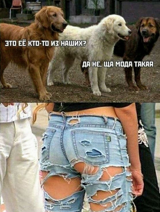 Картинки и мемы для настроения 16.09.2021