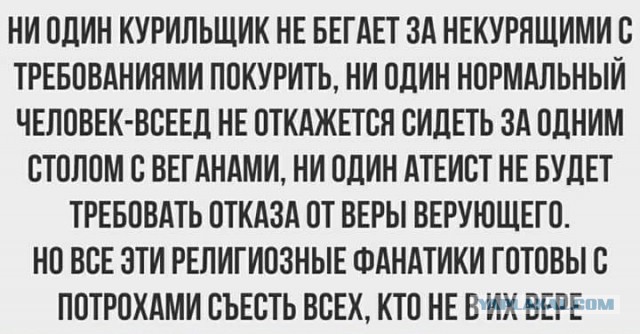 Всяческие картинки 08.11.2021