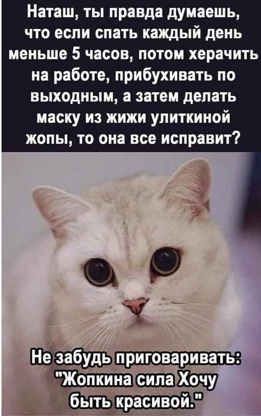 Алкопост 10.12.21
