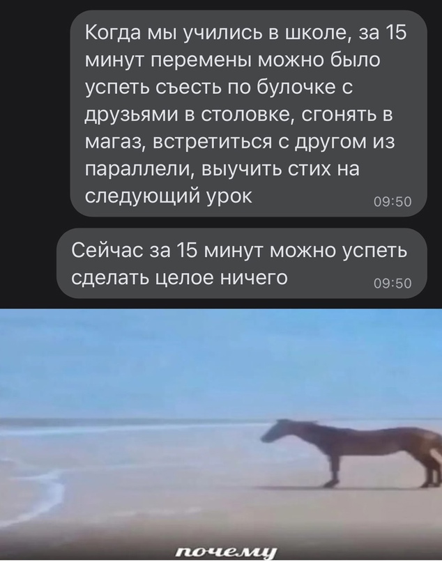 Весёлый полтишок 16.12