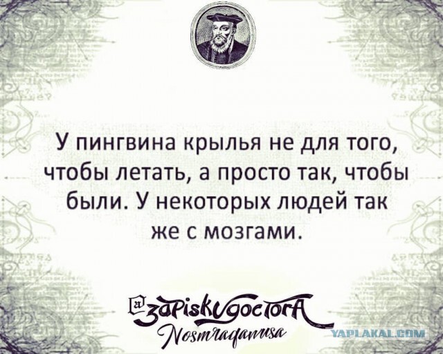 Весёлый полтишок 27.12